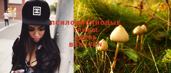 сатива Михайлов
