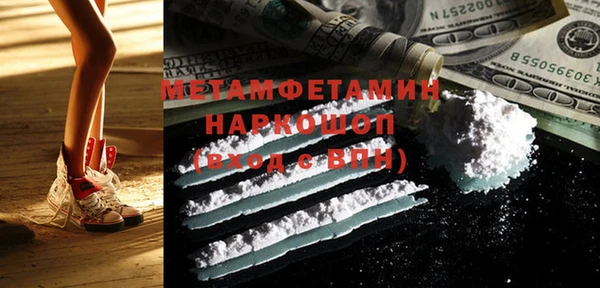 прущие грибы Анжеро-Судженск