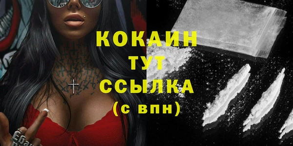 сатива Михайлов