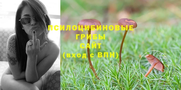 амфетамин Медногорск