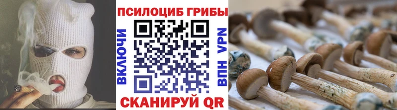ОМГ ОМГ ссылка  Красноуфимск  Псилоцибиновые грибы Cubensis 